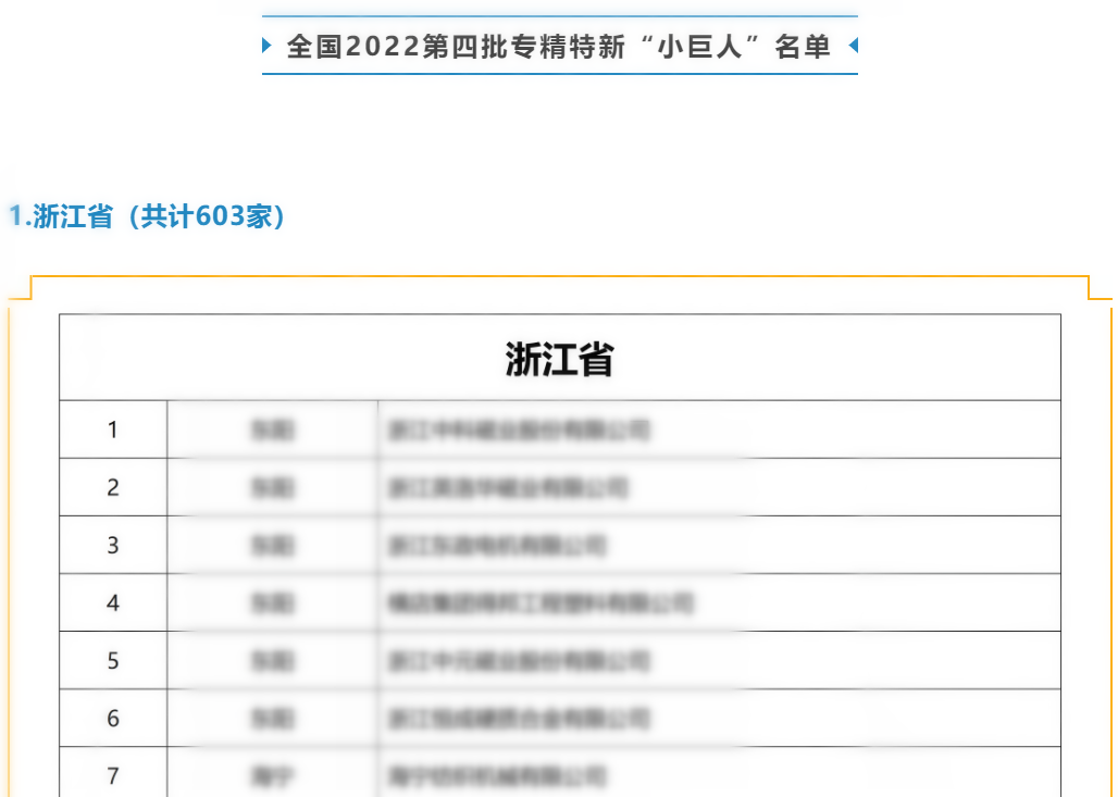 再獲殊榮|浙江諾亞獲評為國家級專精特新“小巨人”企業(yè)稱號